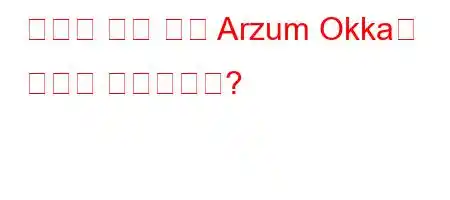 터키식 커피 머신 Arzum Okka의 가격은 얼마입니까?